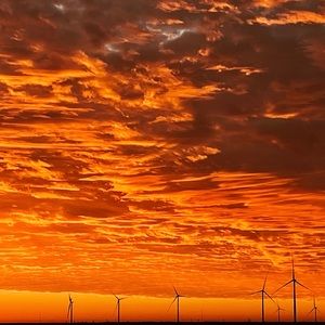 Meet your Posher, Zoey